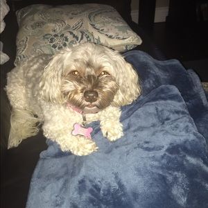 Meet your Posher, Donna